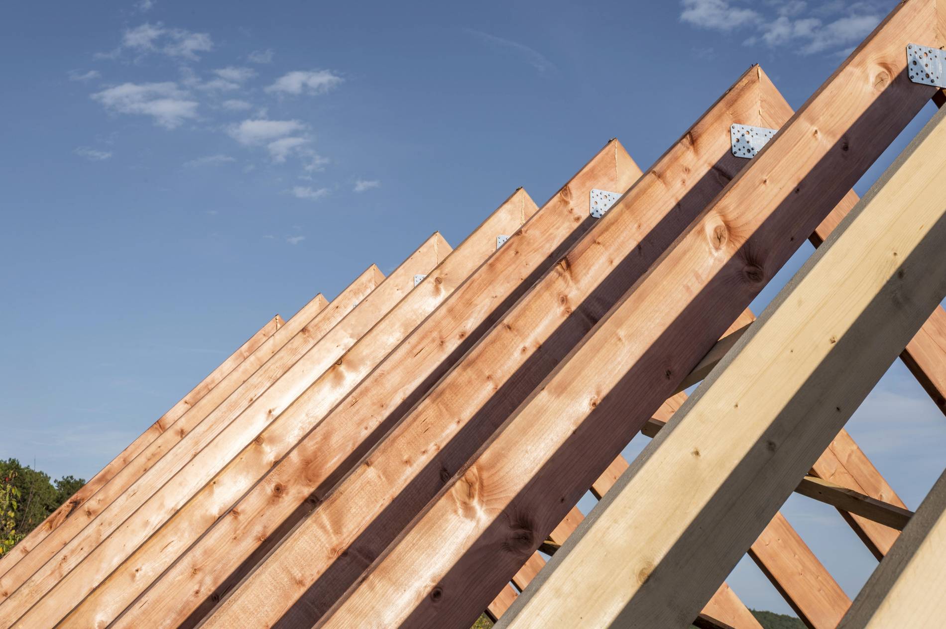 Construction de charpente bois